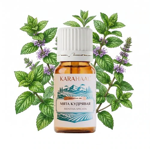 Эфирное масло мяты кудрявая BIO (Mentha spicata), 10 мл